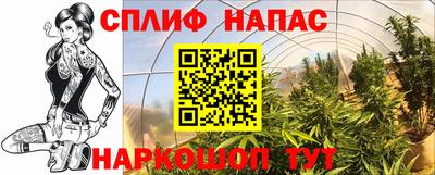 прущие грибы Мариинск