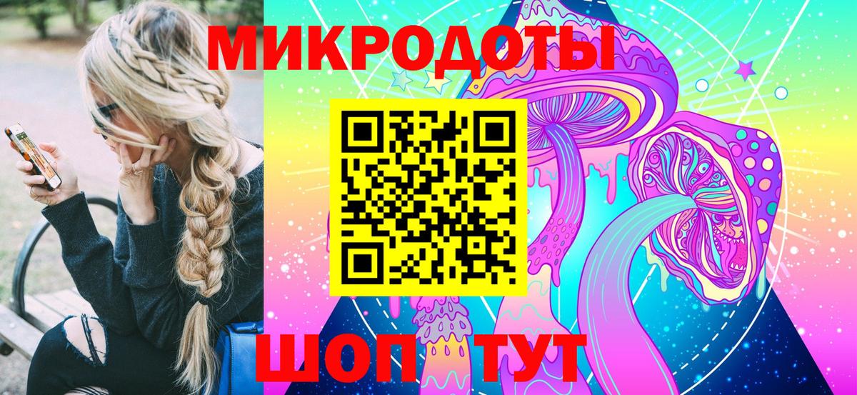 Галлюциногенные грибы Psilocybe Чита