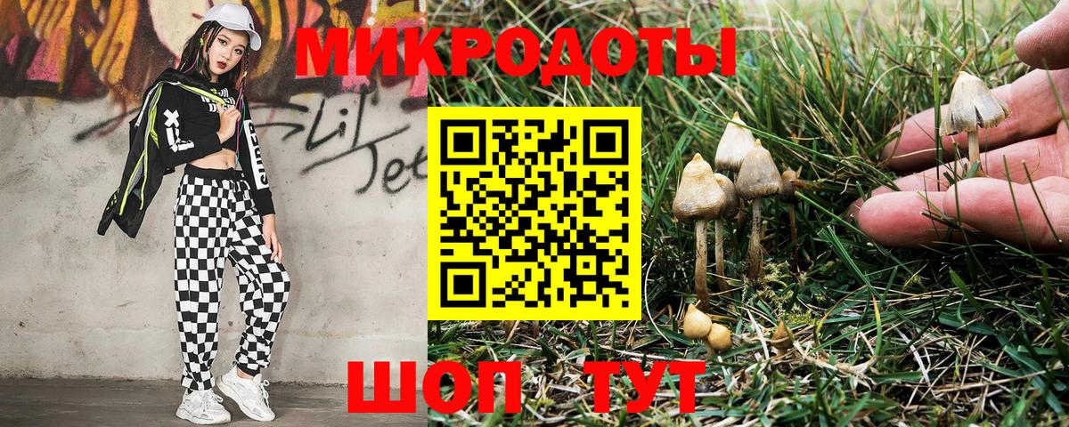 Чита  Псилоцибиновые грибы мицелий  Псилоцибиновые грибы Psilocybine cubensis  Вход с VPN 